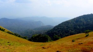 View on the way to Kodachadri Peak